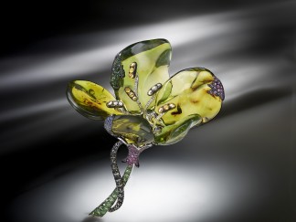 Temptation of amber