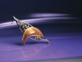 잎새에 이는 바람